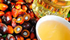  Coconut Oil