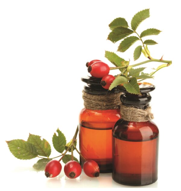 Anti-aging Face Cream with Rose Hip & Argan Oil - Image 2