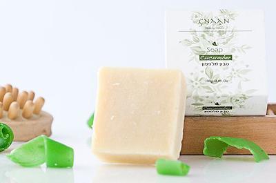 Cucumber Melon Soap